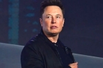 Elon Musk, Elon Musk new update, elon musk talks about cage fight again, Pizza