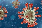 China Covid Row India, China Covid Row breaking news, new china coronavirus variant traced in india, Omicron bf 7